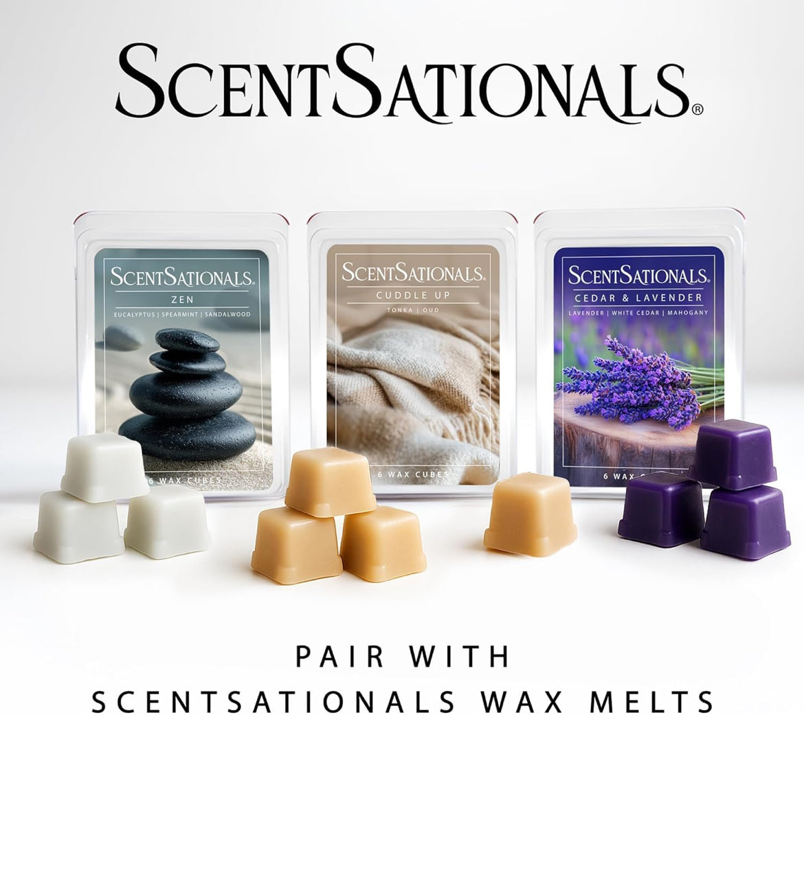Scentsationals Modern Wax Melt Warmer, for Scented Wax Melts - Modern Roe - Contemporary Fragrance Warmer for Cubes and Tarts