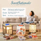 Scentsationals Accent Wax Warmer - Scented Wax Cube Melter - Electric Fragrance Plugin (Crystalette) Cream