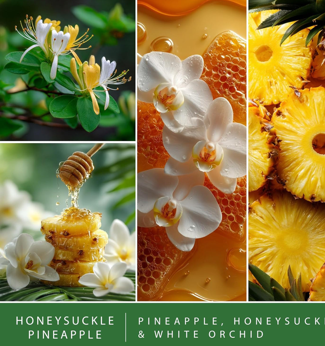 ScentSationals Honeysuckle Pineapple Fragrance Oil Plug In Air Freshener Refills 3-Pack - Works w/ Scentsationals Wall Plugs - Packaging May Vary