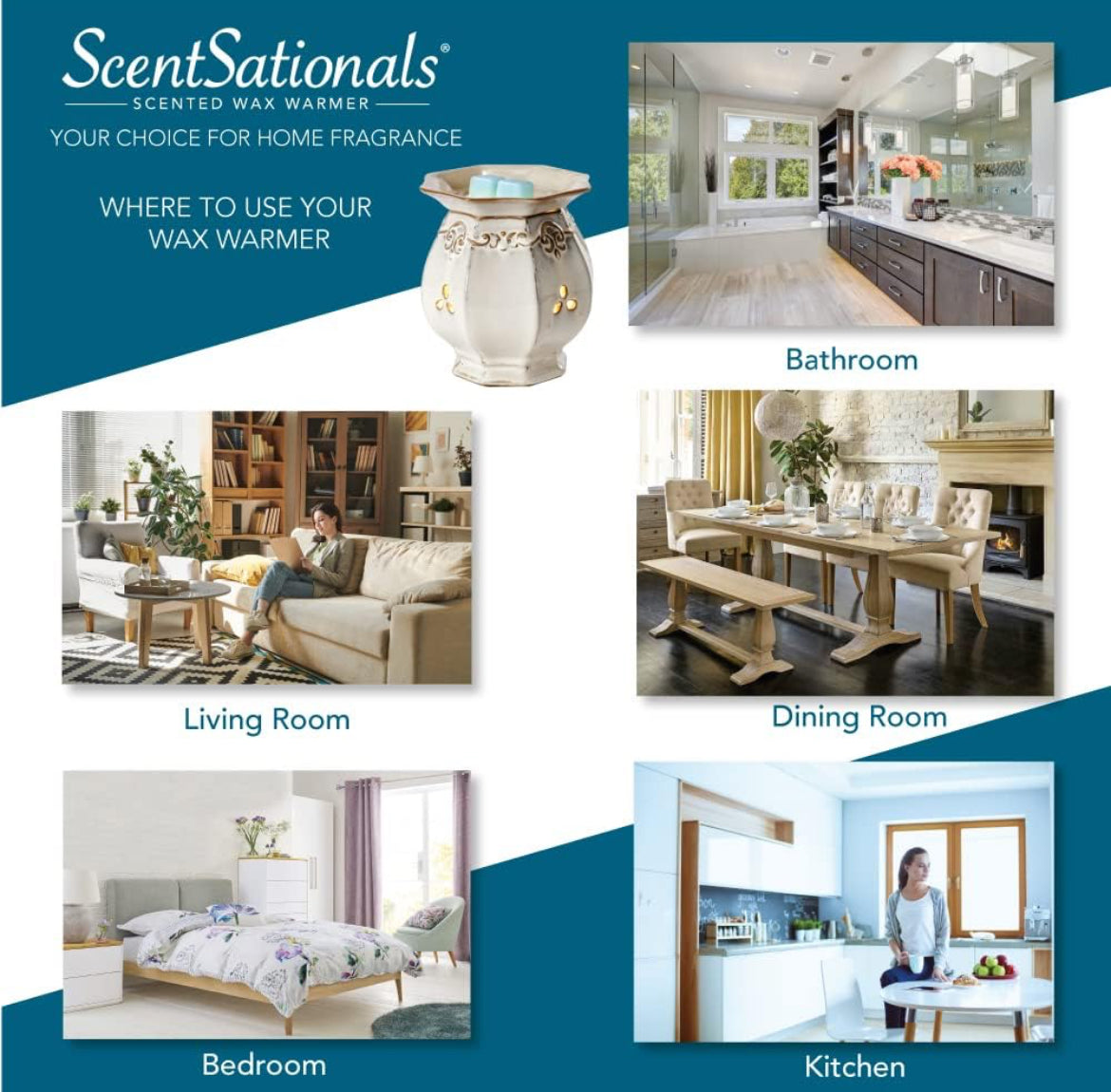 Scentsationals Wax Warmer Boho Collection, Scented Wax Cube Melter, Electric Fragrance and Oil Burner -  (Succulent Bowl)