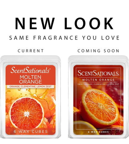 Scentsationals Wax Melts, Wax Cubes Strong Scent - Molten Orange - Long Lasting Scented Melts for Warmer, 10oz (Pack of 4)
