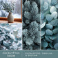 Scentsationals Wax Melts Strong Scent - Eucalyptus Snow - Long Lasting Scented Wax Cubes for Warmers - 10oz (PACK OF 4)