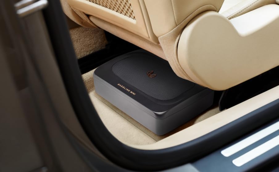 Infinity Basslink Mini Powered 6x8 Inches underseat subwoofer - Titanium