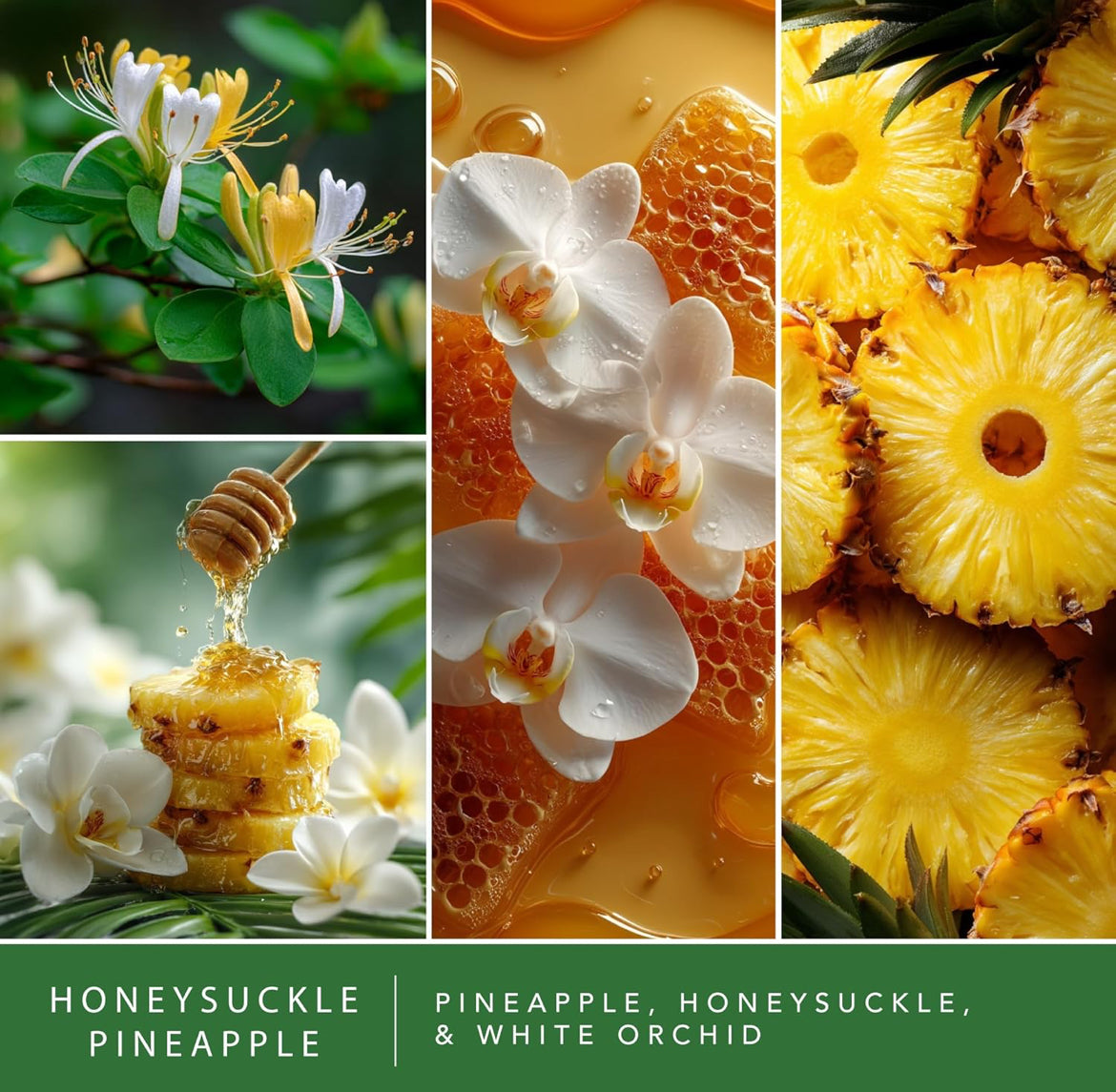 Scentsationals Wax Melts, Wax Cubes Strong Scent - Honeysuckle Pineapple - Long Lasting Scented Melts for Warmer - 10oz (PACK OF 4)