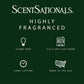 Scentsationals Wax Melts Strong Scent - Woodland Spruce - Long Lasting Scented Wax Cubes for Warmers - 10oz (PACK OF 4)