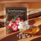 Scentsationals Wax Melts, Wax Cubes Strong Scent – Getaway Collection Desert Rose – Long Lasting Scented Melts for Warmer - 10oz (Pack of 4)