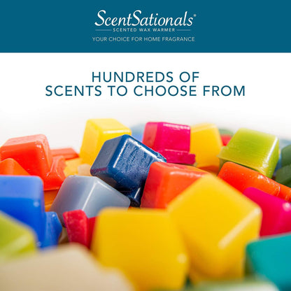 Scentsationals Geurige Kubusse Was Lugverfrisser Geur Was - ZEN-