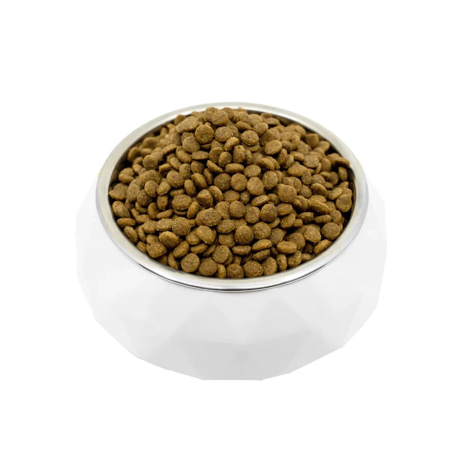 White Puppy All Breeds Grain Free Salmon dry dog food Premium Grainless Dry Feed