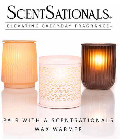 Scentsationals Fall Wax Melts Long Lasting Wax Cubes – Includes Warm Apple Pie, Vanilla Pine, Fallen Leaves & Feelin Cozy - 10oz (PACK OF 4)