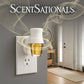 ScentSationals Vanilla Bean Fragrance Oil Plug In Air Freshener Refills 3-Pack - Works w/ Scentsationals Wall Plugs - Packaging May Vary