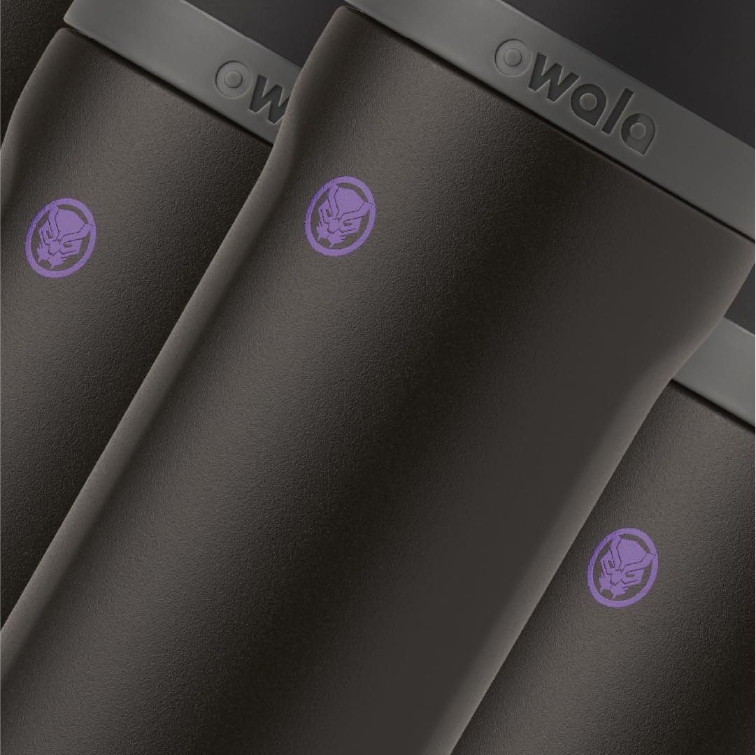 FreeSip Insulated Stainless Steel Water Bottle w/ Straw BPA-Free 24 oz - Marvel Black Panther