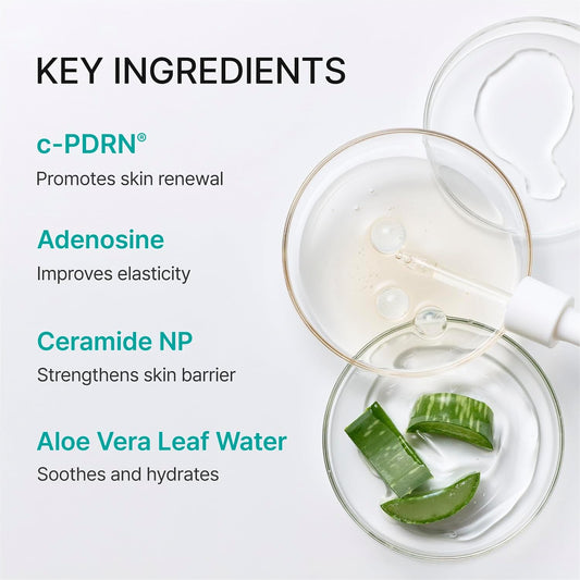 Turnover Mask, c-PDRN® Face Mask, 5ea, Intensive Hydration with Original Salmon DNA PDRN & Ceramides for Revitalized Skin & Radiant Glow, (1.35 fl oz)