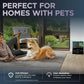Shark Power Detect NeverTouch, Self-Empty & Self-Refill, Robot Vacuum and Mop - NEW