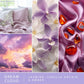 Scentsationals Wax Melts, Wax Cubes Strong Scent - Dream Cloud - Long Lasting Scented Wax Melts for Warmer -10oz (PACK OF 4)
