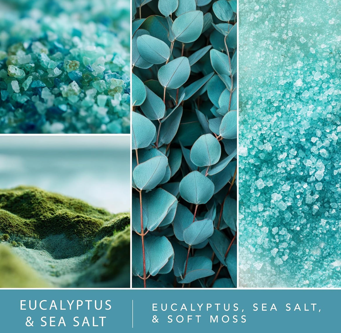 Scentsationals Fragrance Oil Plug in Air Freshener Refills 3-Pack - Eucalyptus & Sea Salt - Works w/ Scentsationals Wall Plugs - Packaging May Vary