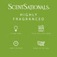 Scentsationals Wax Melts, Wax Cubes Strong Scent - Cucumber Melon - Long Lasting Scented Melts for Warmer, 10 oz (Pack of 4)