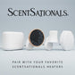 ScentSationals Bubbles Fragrance Oil Plug In Air Freshener Refills 3-Pack - Works w/ Scentsationals Wall Plugs - Packaging May Vary