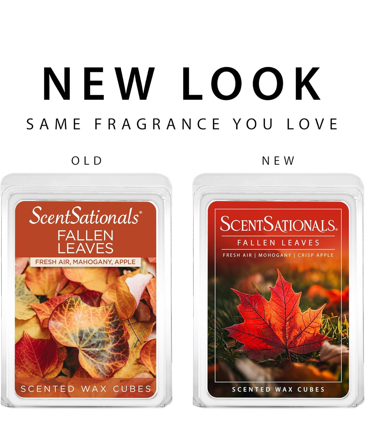 Scentsationals Wax Melts Strong Scent - Fallen Leaves - Long Lasting Scented Melts for Warmers, 10oz (Pack of 4)