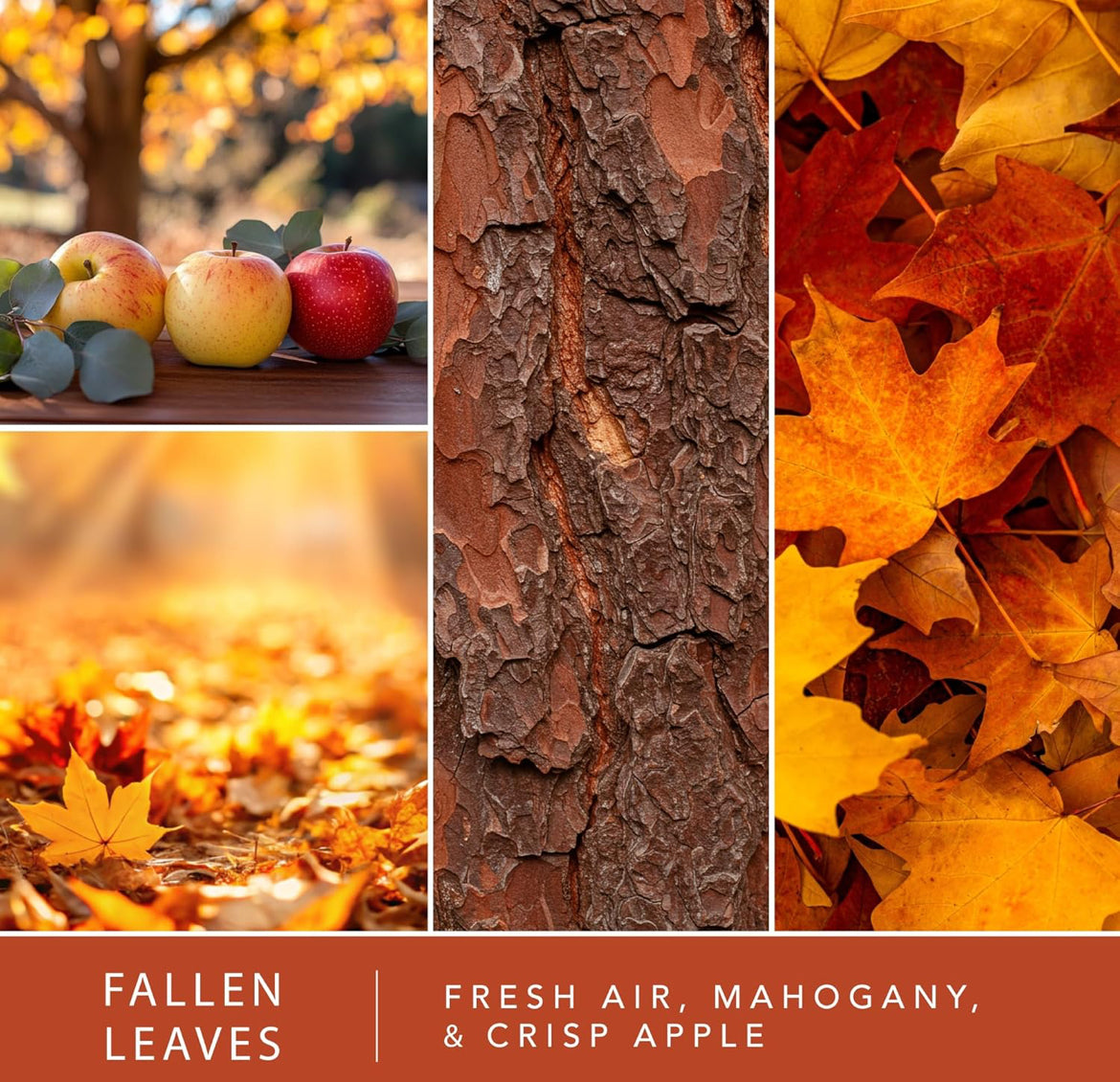 Scentsationals Fall Wax Melts Long Lasting Wax Cubes – Includes Warm Apple Pie, Vanilla Pine, Fallen Leaves & Feelin Cozy - 10oz (PACK OF 4)
