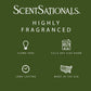 Scentsationals Wax Melts - Perfectly Pine Scented Fragrance - 10oz (24-Cubes)