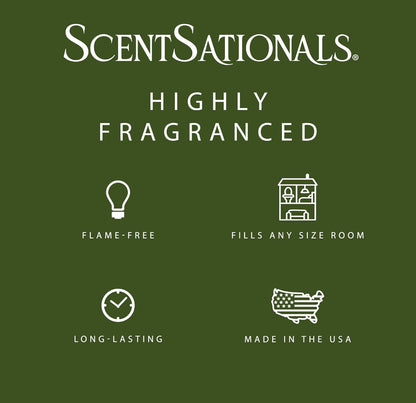 Scentsationals Wax Melts - Perfectly Pine Scented Fragrance - 10oz (24-Cubes)