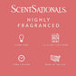 Scentsationals Wax Melts, Wax Cubes Strong Scent - Fruit Collection Watermelon Sugar - Long Lasting Scented Wax Melts for Warmer - 10oz (Pack of 4)