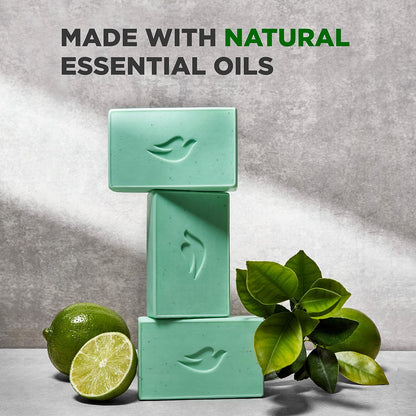 DOVE MEN Plant-Powered Natural Essential Oil 4-in-1 Bar Soap for Men's Body, Hair, Face and Shave (4PK)