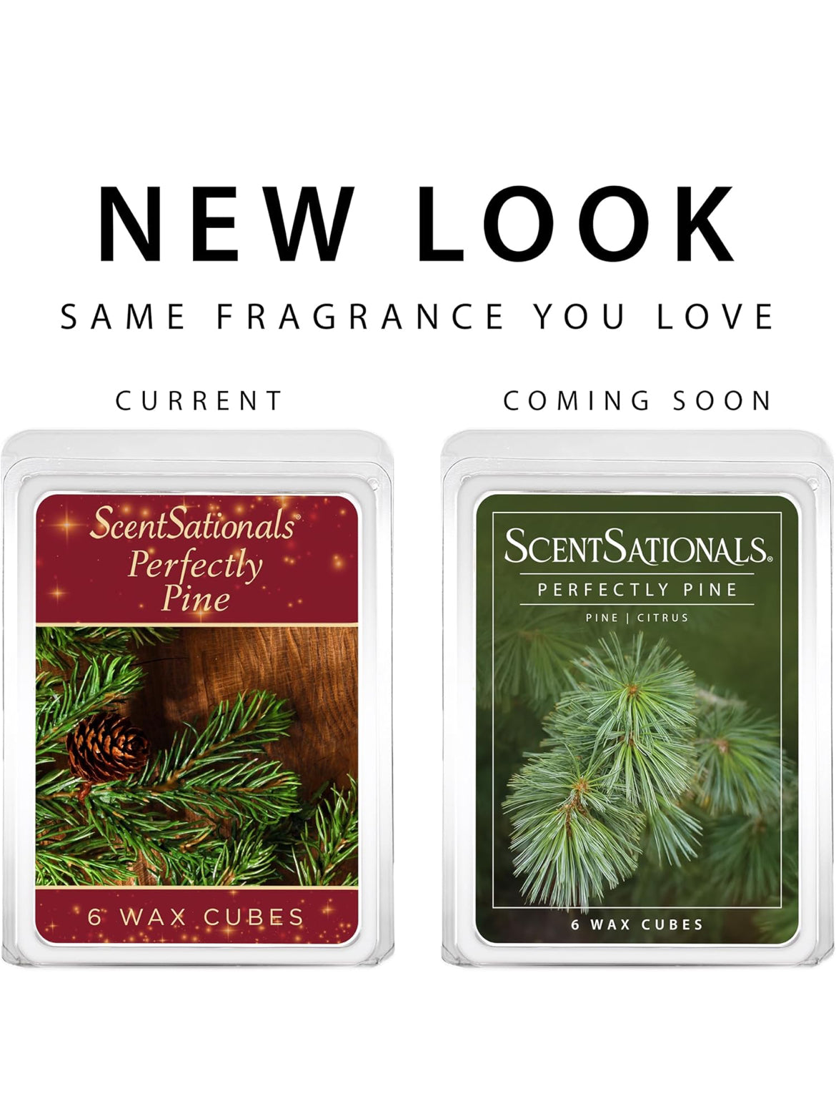 Scentsationals Wax Melts - Perfectly Pine Scented Fragrance - 10oz (24-Cubes)