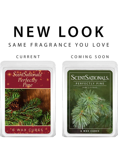 Scentsationals Wax Melts - Perfectly Pine Scented Fragrance - 10oz (24-Cubes)