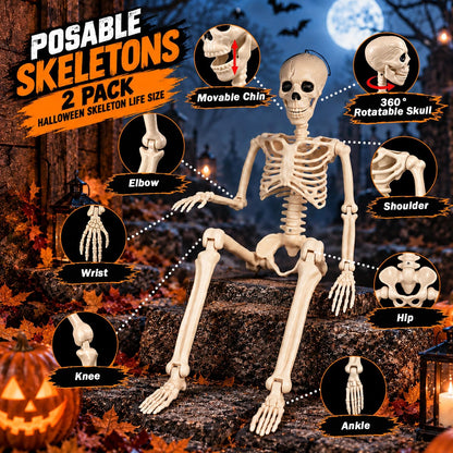 2 Pack 36" Halloween Posable Skeletons, 3 FT Halloween Skeleton Decorations