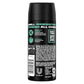 AXE Apollo Body Spray Deodorant Sage & Cedarwood for Long-Lasting Odor Protection, Deodorant for Men (4.0 oz) Pack of 2