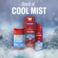 Old Spice Body Wash for Men, 24/7 Shower Fresh & Clean with Daily Use, Lasting Signature Scent - Cold Spice with Cool Mint Scent, 24 oz (Pack of 2)