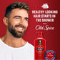 Old Spice Men's 2-in-1 Shampoo and Conditioner - Swagger, Cedarwood Lime Scent 21.9 Fl Oz/ea (2PK)