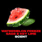 AXE Premium Deodorant, Watermelon Freeze, 3 oz (85 g)