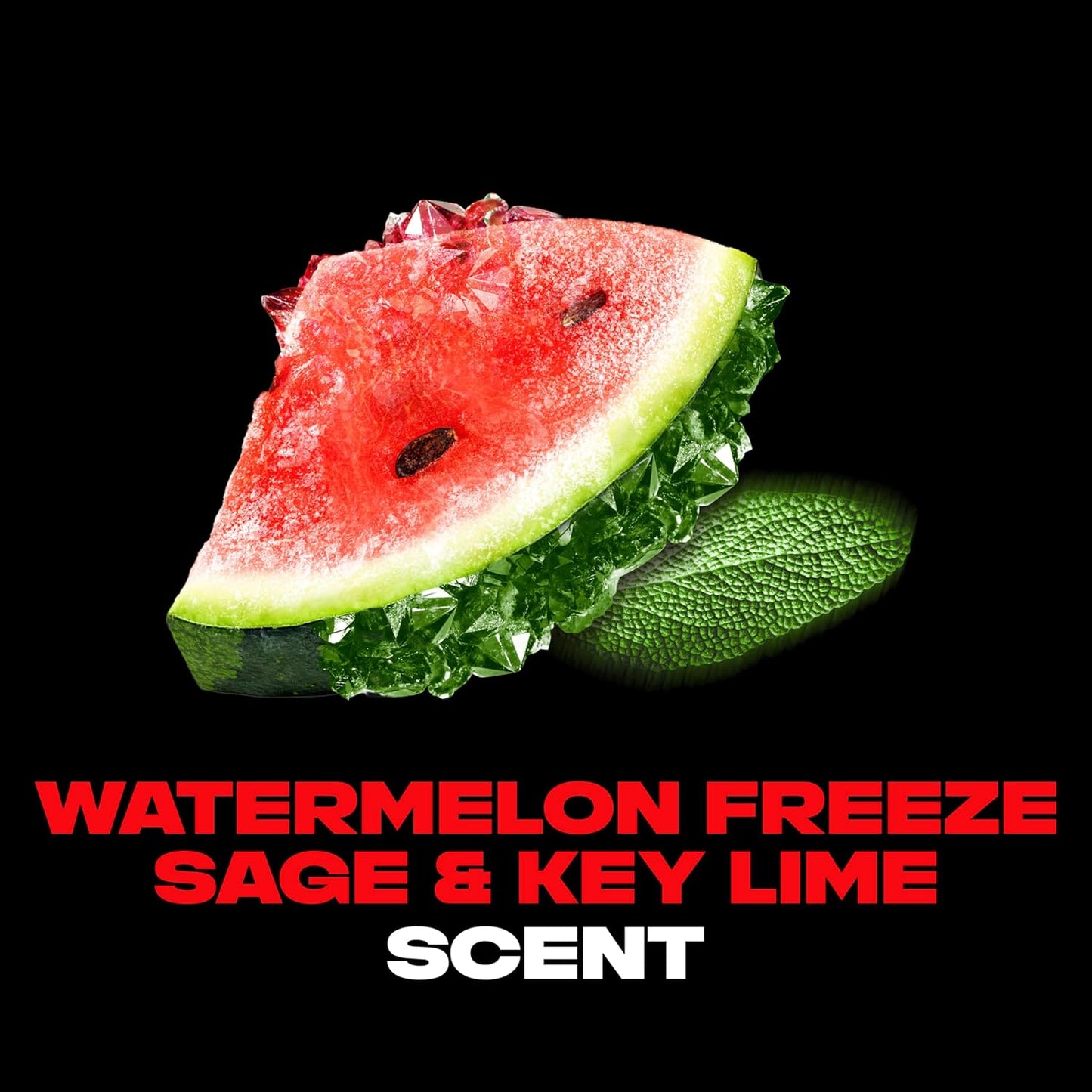 AXE Premium Deodorant, Watermelon Freeze, 3 oz (85 g)