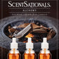 ScentSationals Alchemy Fragrance Oil Plug In Air Freshener Refills 3-Pack - Works w/ Scentsationals Wall Plugs - Packaging May Vary