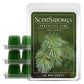 Scentsationals Wax Melts - Perfectly Pine Scented Fragrance - 10oz (24-Cubes)