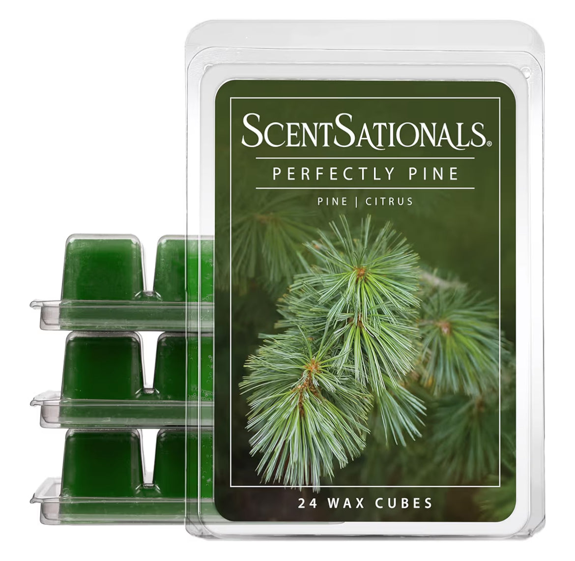 Scentsationals Wax Melts - Perfectly Pine Scented Fragrance - 10oz (24-Cubes)
