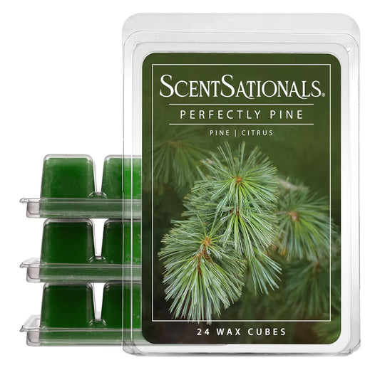 Scentsationals Wax Melts - Perfectly Pine Scented Fragrance - 10oz (24-Cubes)