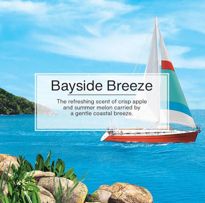 LITTLE TREES Kar Lugverfrisser Hangboompie Langdurige Geur – Bayside Breeze 6-Pakke