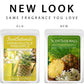 Scentsationals Wax Melts, Wax Cubes Strong Scent - Honeysuckle Pineapple - Long Lasting Scented Melts for Warmer - 10oz (PACK OF 4)
