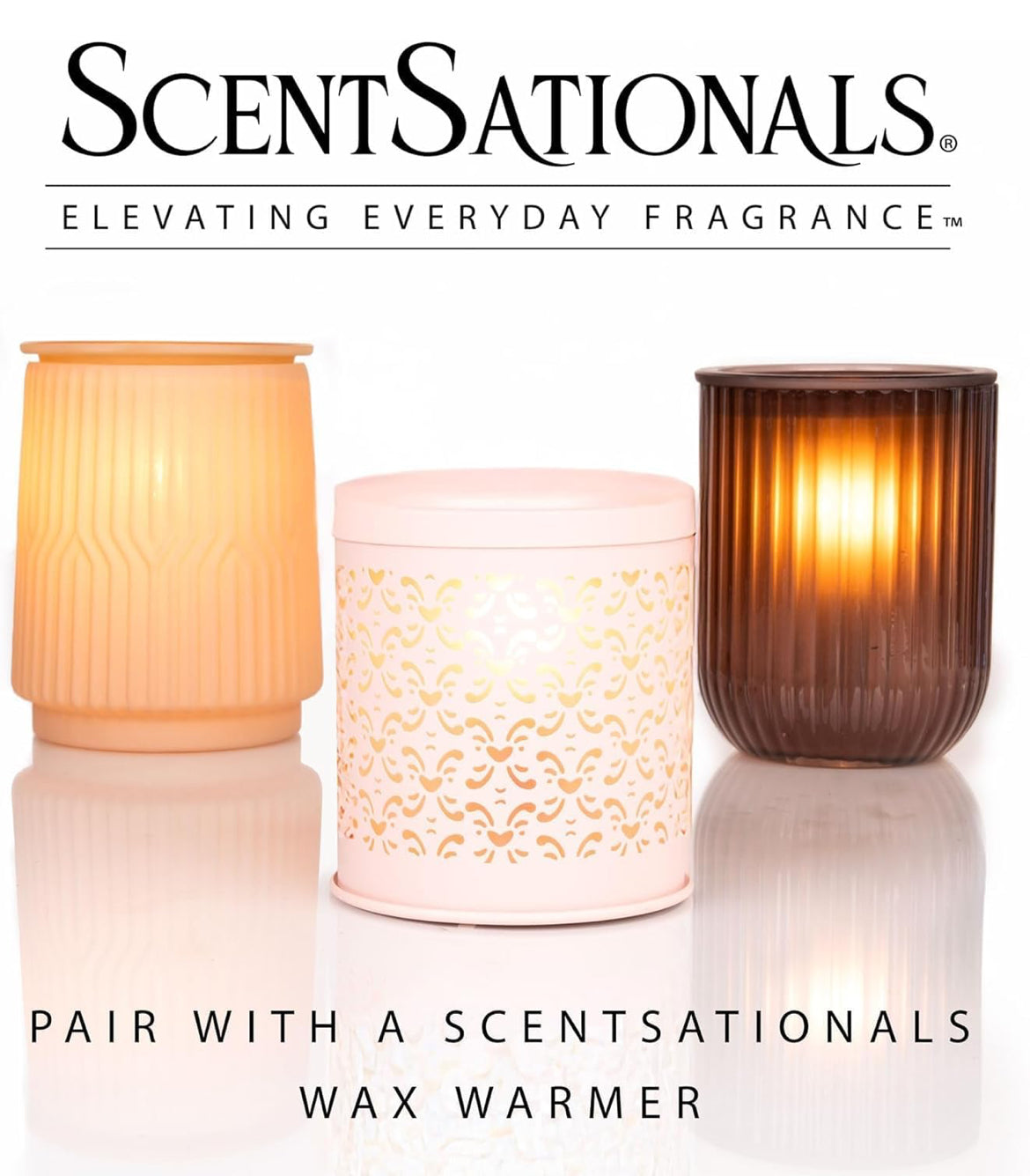 Scentsationals Wax Melts, Wax Cubes Strong Scent - Cuddle Up - Long Lasting Scented for Warmer, 10oz (Pack of 4)
