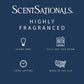 Scentsationals Wax Melts, Wax Cubes Strong Scent - Enchanted - Long Lasting Scented Melts for Warmer, 10oz (Pack of 4)
