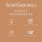 Scentsationals Wax Melts Strong Scent - No Place Like Home - Long Lasting Scented Melts for Warmers -10oz (PACK OF 4)