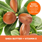 Palmer's Shea Formula Raw Shea Body Lotion 48hr Moisture - Vitamin Infused to restore and revitalized, 8.5oz (Pack of 2)