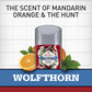 Old Spice Wild Collection Invisible Solid Anti-Perspirant and Deodorant, Wolfthorn Scent - 2.6 Oz Ea, 2 Count
