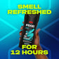 AXE Body Wash for Long Lasting Freshness Apollo Sage and Cedarwood Men's Body Wash with Odor-Busting Prebiotics - 16 oz (Pack of 2)