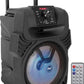 Rechargeable 8" Portable Bluetooth Speaker 500W Indoor/Outdoor Karaoke Machine Sound System - Multi-Color LED Party Lights, Mic Input, FM Radio, MP3/USB & Remote Control (Black)