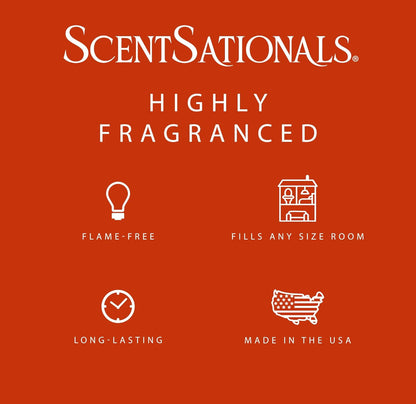 Scentsationals Wax Melts, Wax Cubes Strong Scent - Molten Orange - Long Lasting Scented Melts for Warmer, 10oz (Pack of 4)