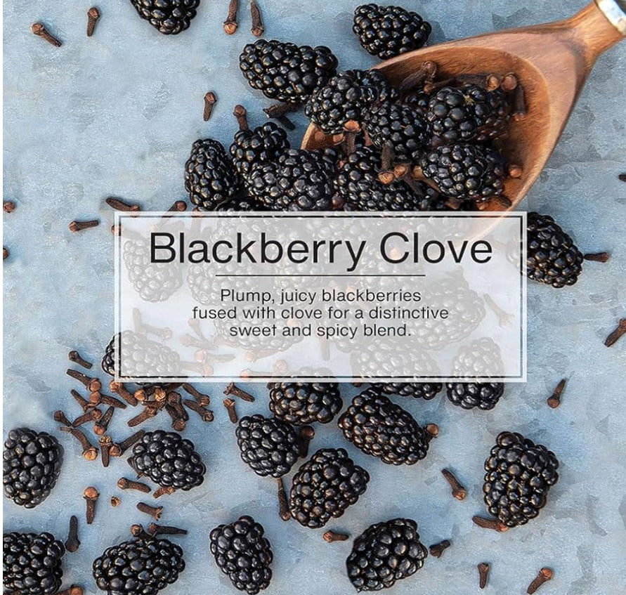 LITTLE TREES Motorlugverfrisser Hangeluggie - Blackberry Clove (24)